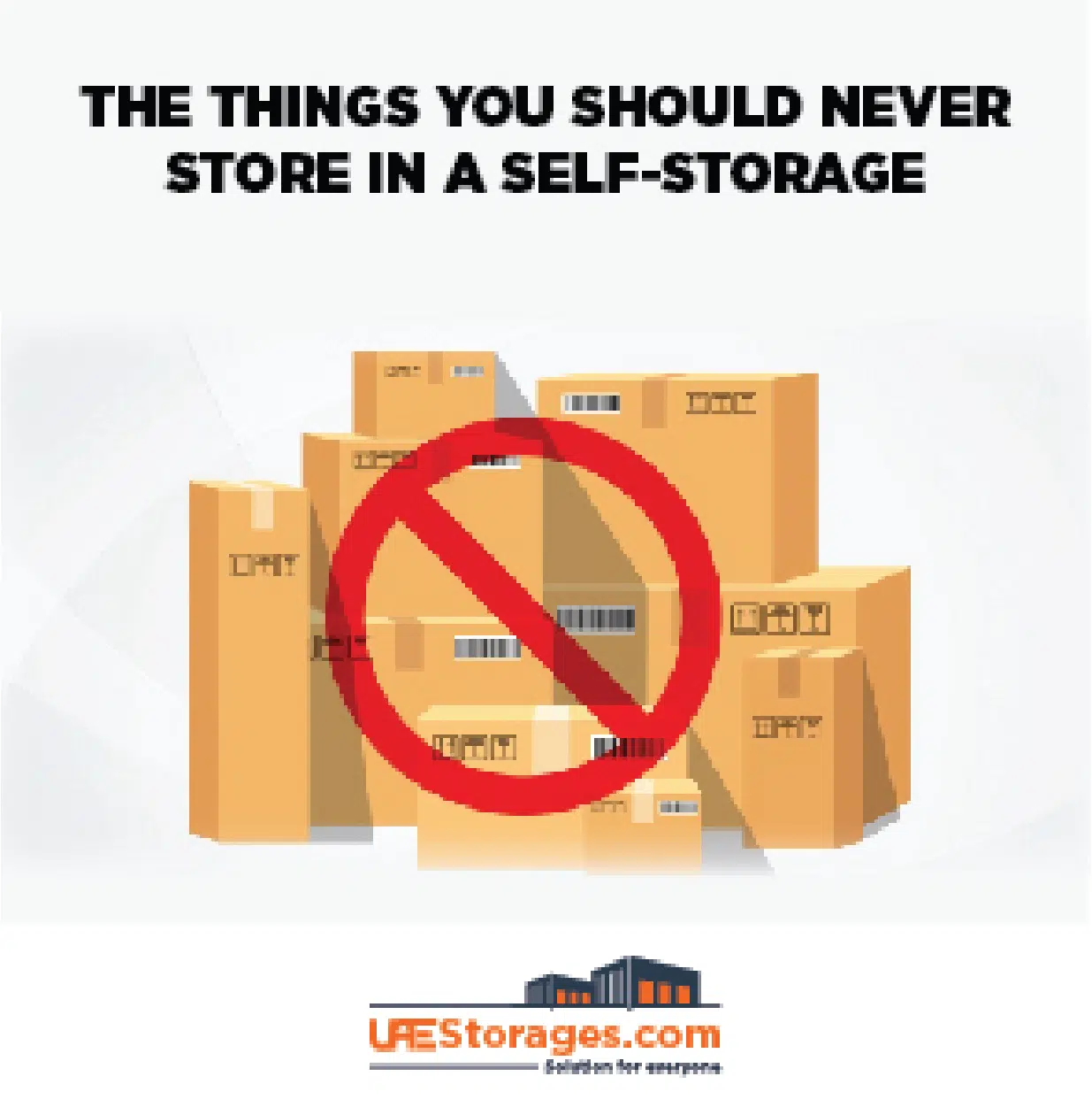 A Blog image saying The Things You Should Never Store in a Self Storage